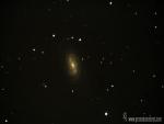 NGC 2903