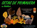Granada Natural en las III Jornadas Micológicas de Monda (Málaga)