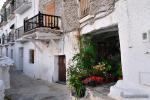 Rinc�n de Capileira ( Barrio Bajo)