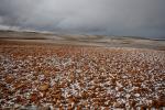 Campo agr&iacute;cola en el Valle del Zalab&iacute;
