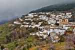 Murtas