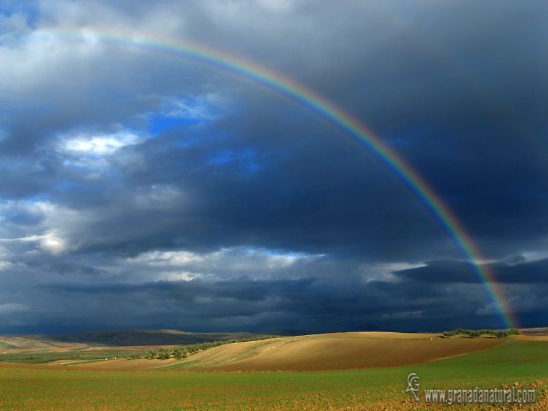 FENOMENO NATURAL ARCOIRIS fenomeno natural arcoiris: