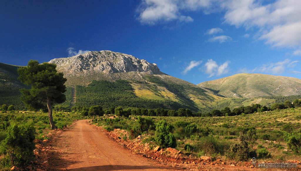 Pe&ntilde;&oacute;n de la Cruz ( Sierra Arana)
